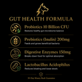 PawVolt Gut Health formula ingredients — probiotics prebiotics digestive enzymes infographic