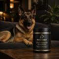  German shepherd with PawVolt Gut Health probiotic formula supplement