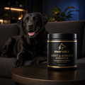 Black labrador with PawVolt Joint & Mobility formula supplement