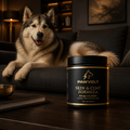Husky with PawVolt Skin & Coat formula supplement for shiny coat
